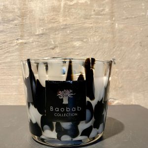 Jasmijnbloembinders - Baobab Black Pearls maat Max 10