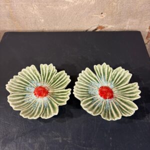 set van twee bordjes cosmea groen