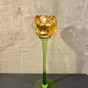 Lotus waxine oranje